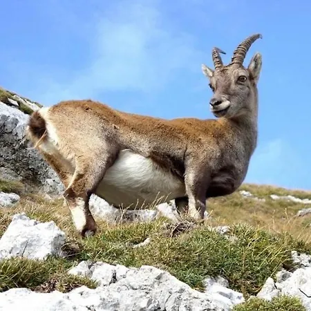 Casa Annie بيت للعطل *