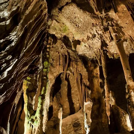 Casa Annie * كويِباتو